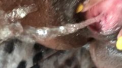 Cumming, Fingering & Peeing All Over Myself. Hardcore Close Up