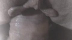 Dick Rubbing Fanny Labia And Butt Close Up