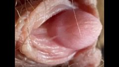 Hardcore Close Up On My Hairy Cunt And Massive Labia 4k Movie Test
