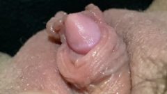 New Hairy Bush Huge Labia Cunt Close Up Collection